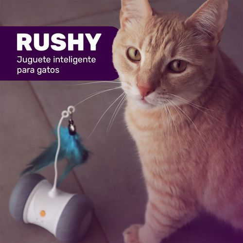 Juguete interactivo Haxly para mascotas